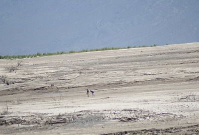 El Ullum 2011 - portada