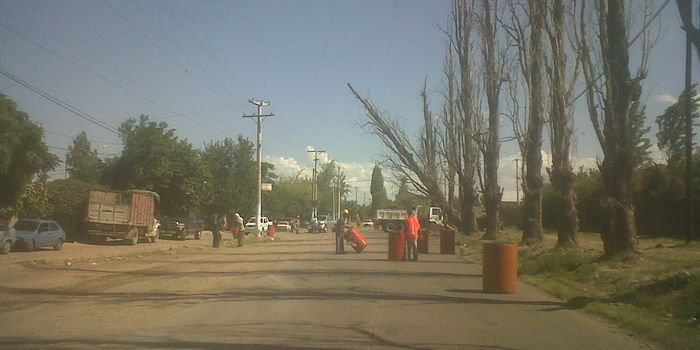 Álamos carril urquiza árboles erradicación N