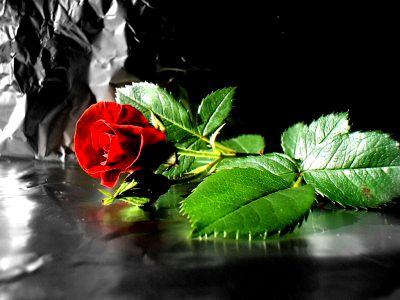 Fondos-pantalla-rosa