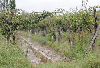 Tres de mayo - Lluvias - PORTADA