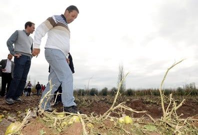 Jaque Righi lavalle P