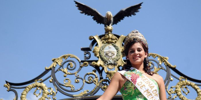 Vendimia-2011-carrusel-NOTA (14)