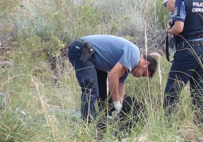 Cadaver camionero perdido