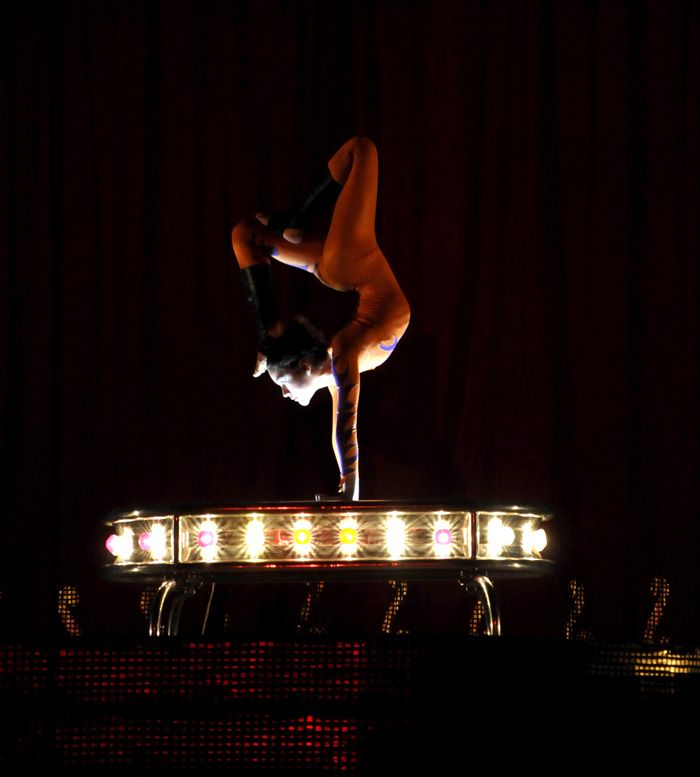 Circo Rodas 3 para int