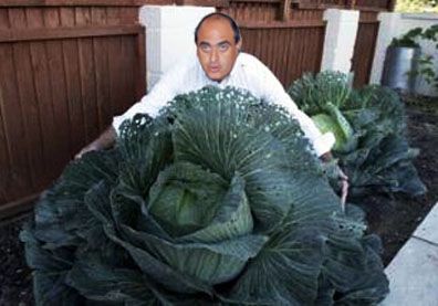 Adaro - Repollo - PORTADA