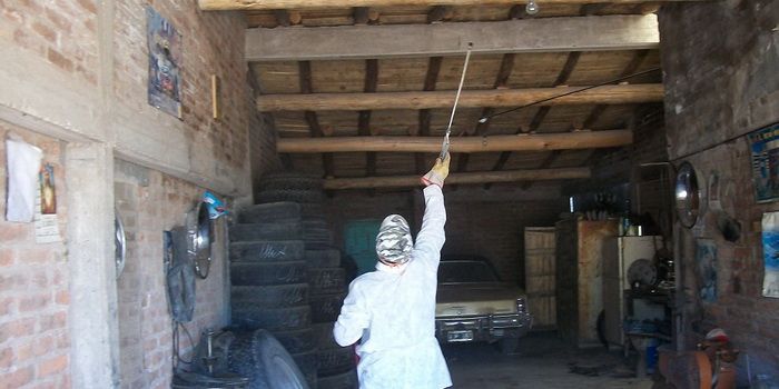 desinfeccion