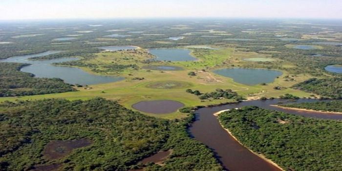 Mato Grosso Brasil P