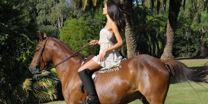 Valentina y caballo marrón N