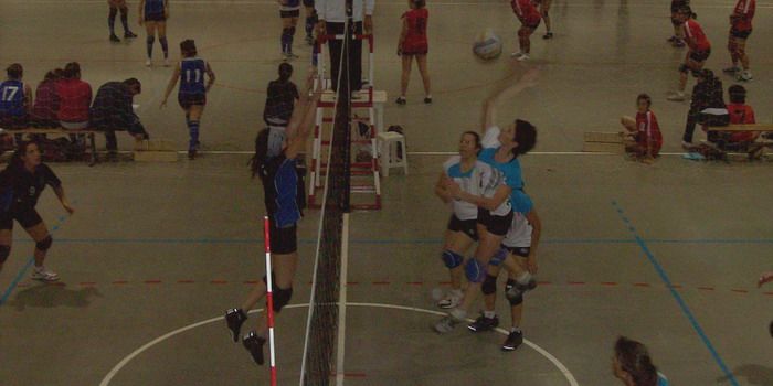 Voley Maxi-Saavedra