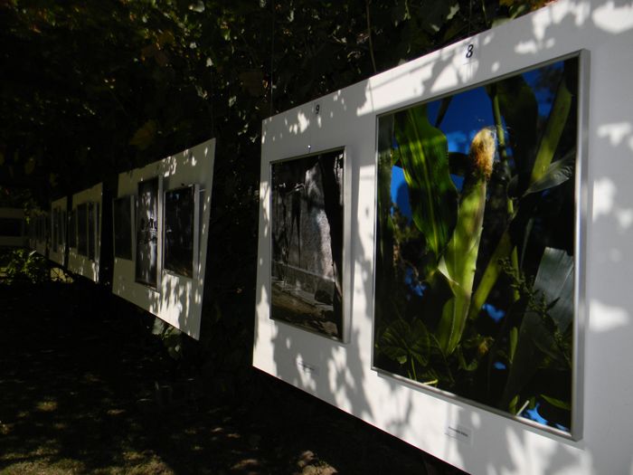 Exp fotografia edi int (2)