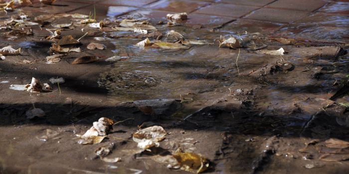 Pérdida agua potable vereda calle Santa Fe 1