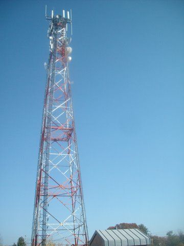 SANY5946