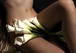 Vagina con flores interior