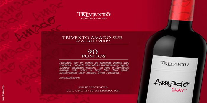 Amado Sur Trivento N