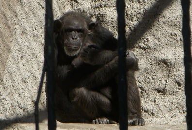 Zoológico de Mendoza
