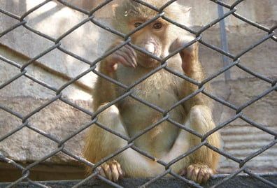 Zoológico de Mendoza