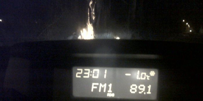 Arbol hora temperatura