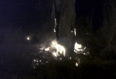 Arbol fuego