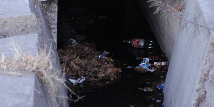 Mugre en las acequias 4