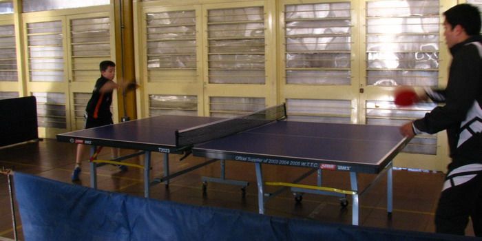 Tenis de mesa