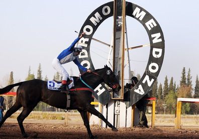 Turf-Patrono-Santiago-PORTADA