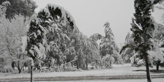 Nieve san raf 29 julio 16