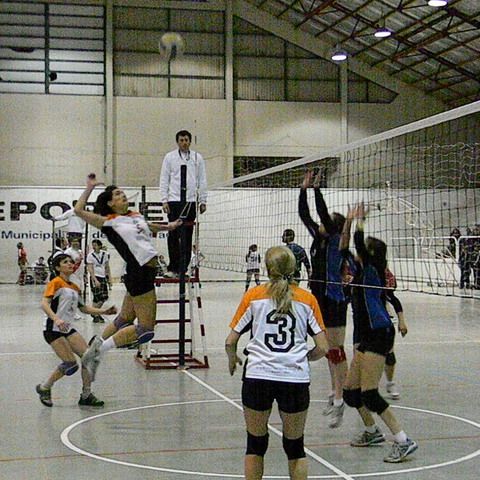 voley Para int