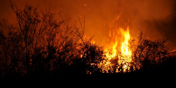 Incendio campo 2