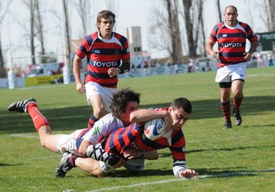 Marista - Tordos - PORTADA1