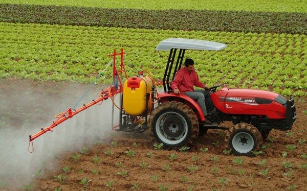 3898255171862962715agricultura