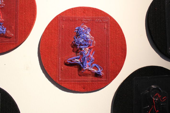 Ricardo_Villarroel_1