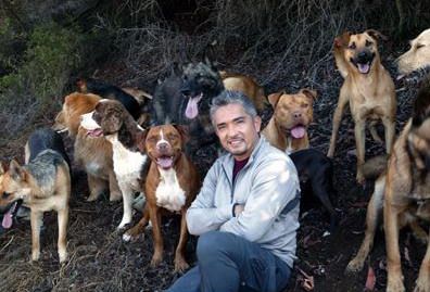 El encantador de perros césar millan P