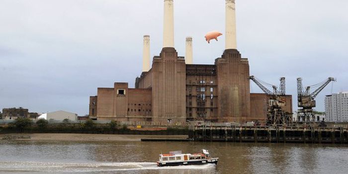 Pink Floyd-cerdo-Londrés