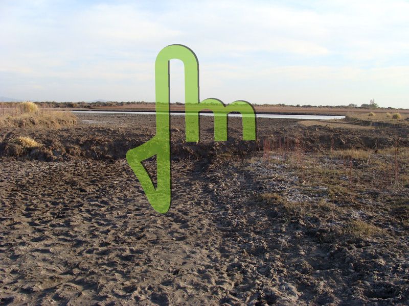 Laguna Las Salinas 6