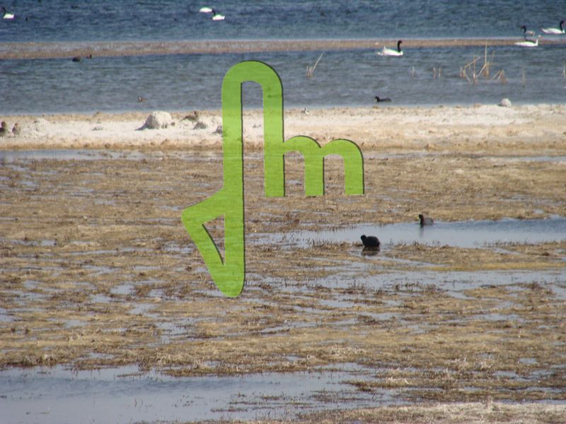 Laguna Las Salinas 8