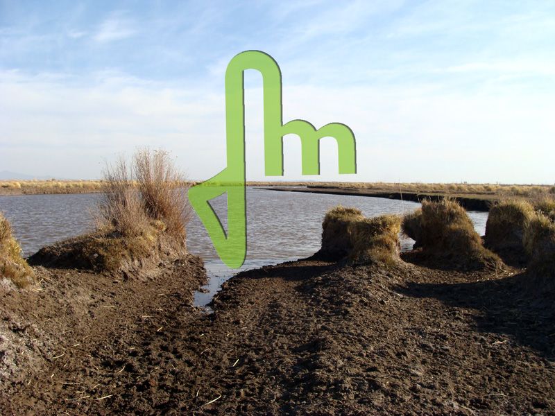 Laguna Las Salinas 9