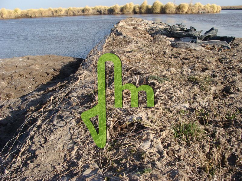 Laguna Las Salinas 12