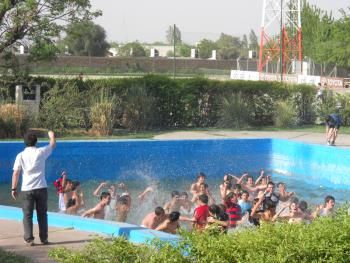 M-15 tordos festejos
