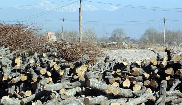 Ladrillos fabricación - 05