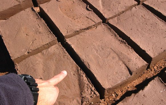 Ladrillos fabricación - 12