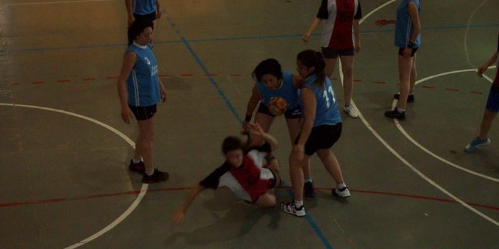 handball 2011