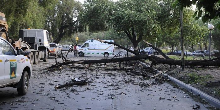 Muerto por el zonda en costanera - Nota3