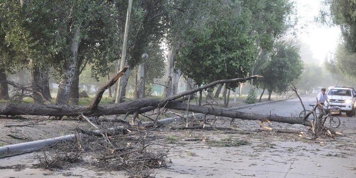 Zonda en la ciudad - Nota8