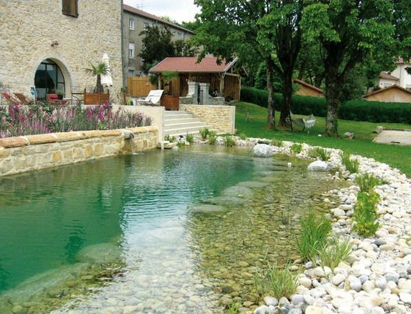 Pisci11