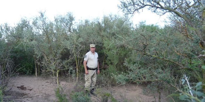 Policia rural Bosque de chañares N
