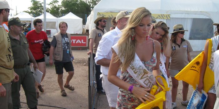 Reinas fuera cara larga 3 n