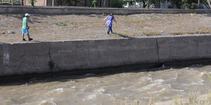 Perros salvados en el canal Cacique Guaymallén - Nota3