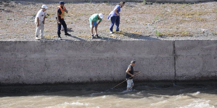 Perros salvados en el canal Cacique Guaymallén - Nota7