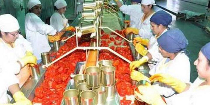 Agro Andina industria empleo N