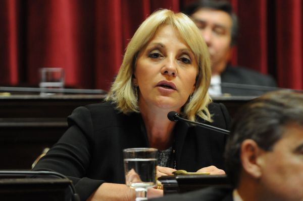 Senadora-Fellner-VI-2